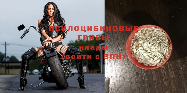 мет Арсеньев