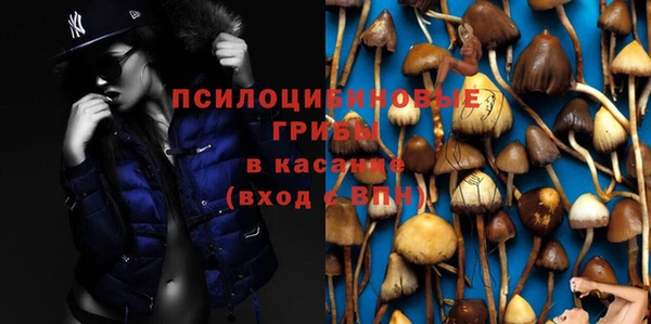 PSILOCYBIN Армянск