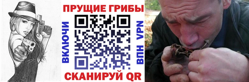 Купить где  Троицк  Галлюциногенные грибы мицелий 