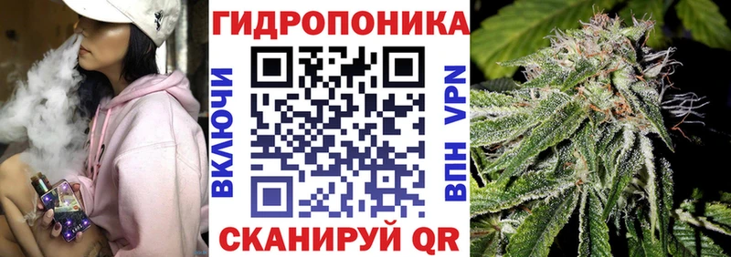 Купить  Троицк  Шишки марихуана Amnesia 